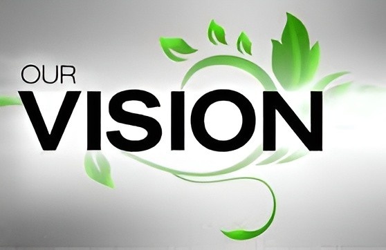 Ambulance Vision